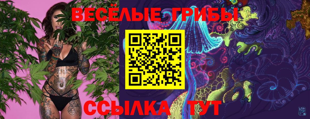 Нальчик  Галлюциногенные грибы ЛСД  Вход с VPN 